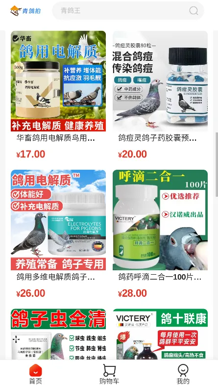 青鸽拍(信鸽交易交流) 青鸽拍(信鸽交易交流)