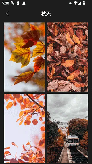 口袋免费壁纸最新手机版 口袋免费壁纸最新手机版