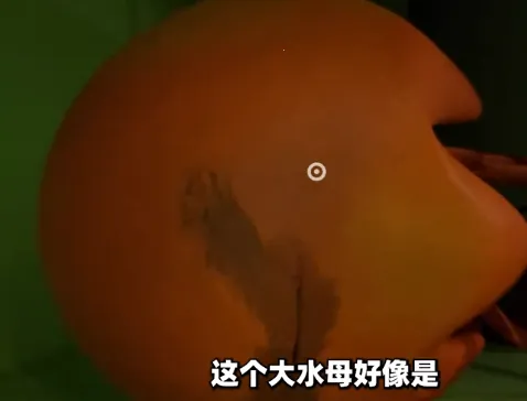 ����׶�԰6(�ֲ�������Ϸ)