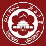 �����´�2025���°汾