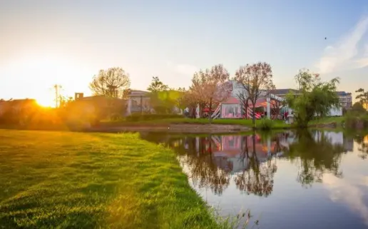 �������(�๦����������)