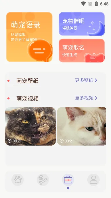 ����Ի�������2025���°汾