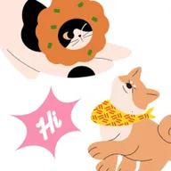 ����Ի�������2025���°汾