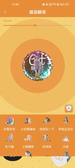 ���﷭����2025���°汾