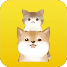 ���﷭����2025���°汾v1.3.4 �ֻ���