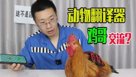 ���﷭����2025���°汾