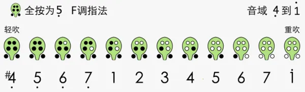 �յѼ���(�յ�ѧϰ����)