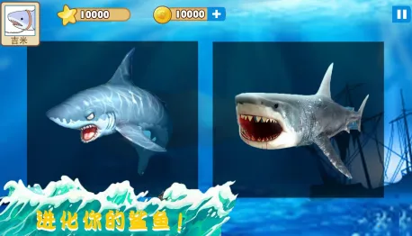 �������ʵģ��2025�ٷ�����