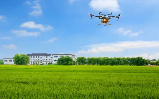 ������ũ��(ũ��ũ�ʹ�������)