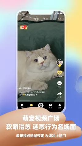 Ƥ�˷�(��������app)