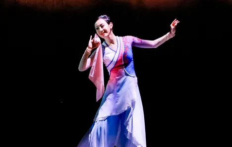 �����赸(�赸ѧϰ����)