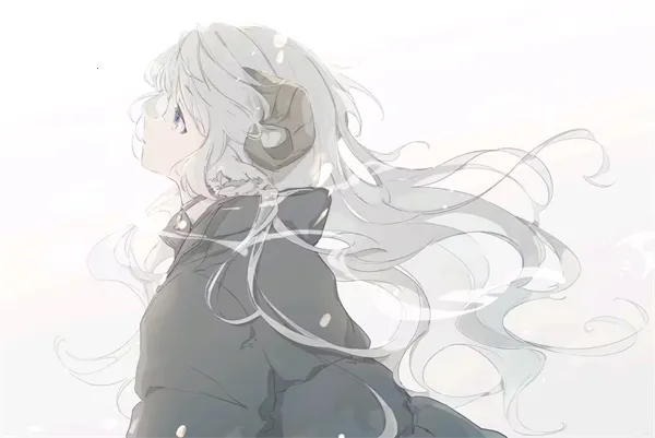 ��֮��2025���ذ�װ