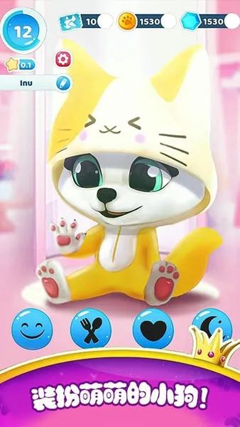 �����п��������2025�ٷ�����