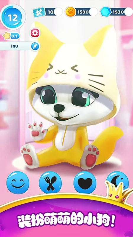 �����п��������2025�ٷ�����