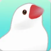 ��������2025�ٷ�����