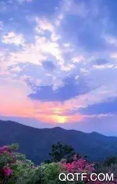 ��������(������ý��ƽ̨)