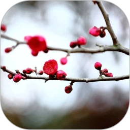 ÷�������ʼ�2026�ٷ����°汾