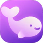 ׼׼2026���°汾