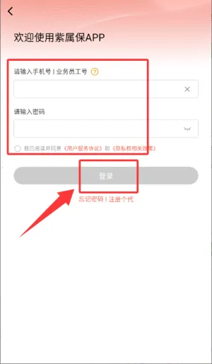 ������2026���°汾