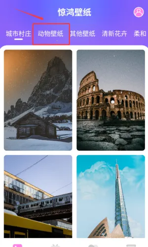 �����ֽ�����ֻ���