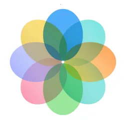 ��˼����