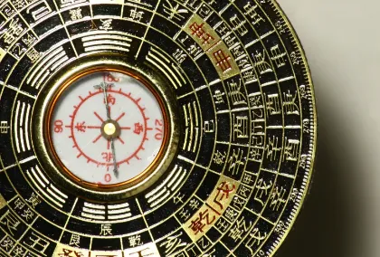 �������������ֻ���