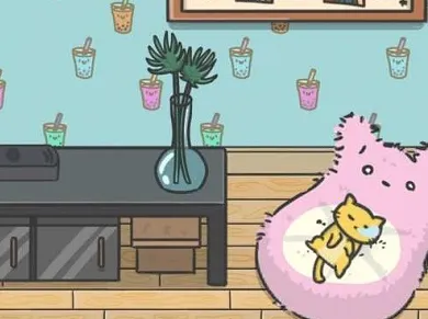 ���ص�è����̽��2026���°汾