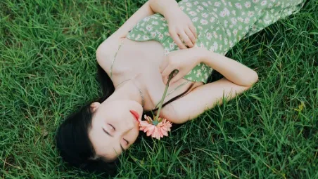 �ɼ�����2026�ٷ�����