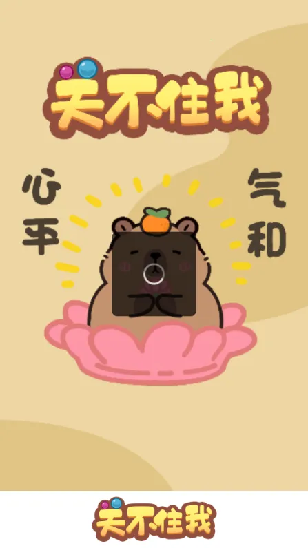 �ز�ס��2026���°汾