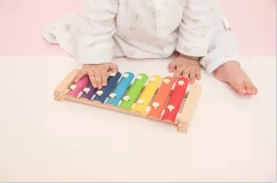 �ǰ���ѧ2026���°汾