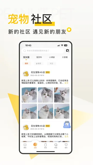 ��������2026�ٷ�����