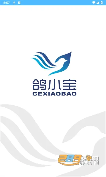 ��С��2026�ٷ�����