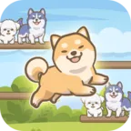 ������2026�ٷ�����