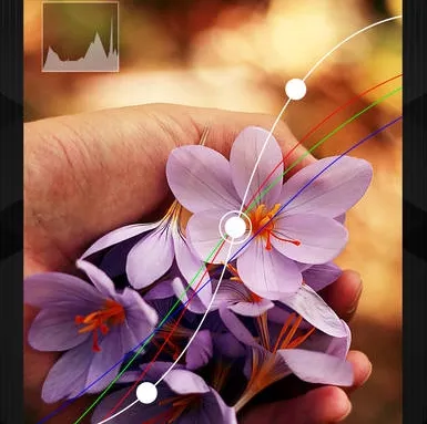 mix�˾������ֻ���