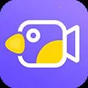 �����Ч��Ƶ��������