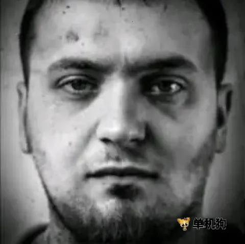 �����ҵ�ս��2026�ٷ����°汾