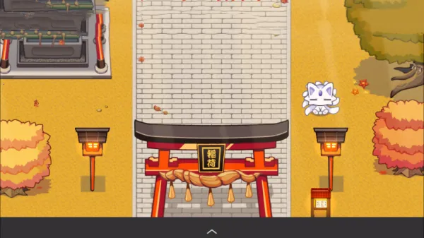 �Ž�����������2026�ٷ�����