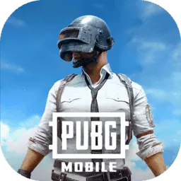 pubg���ʷ�
