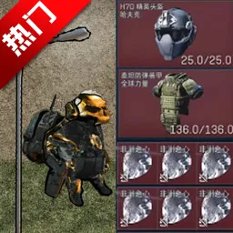 �޹�������