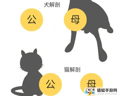 3Dbody����2026�ٷ����°汾