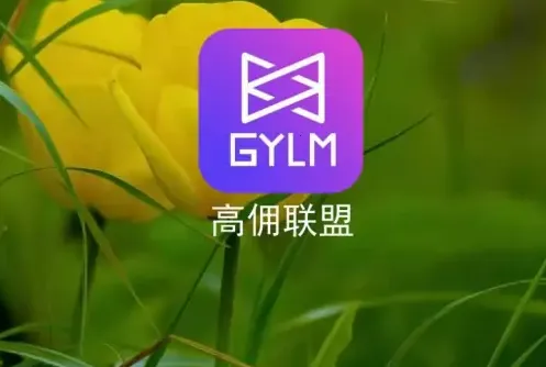 ��Ӷ����