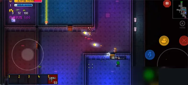 ���Ž���2026�ٷ�����