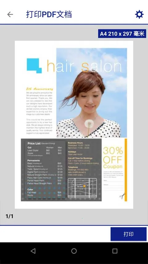 ��������ӡ��