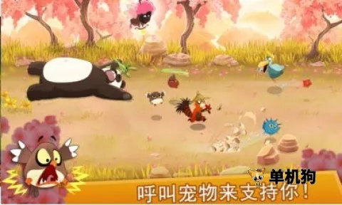 ����Ĵ�ð��2026���°汾