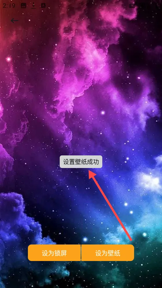 ������ֽapp