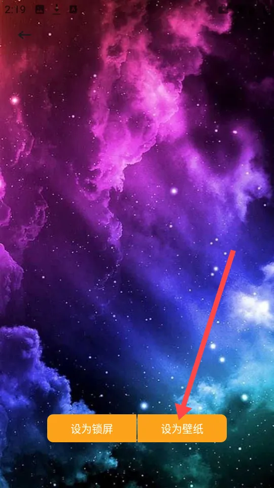 ������ֽapp