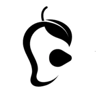 ��â2026�ٷ����°汾