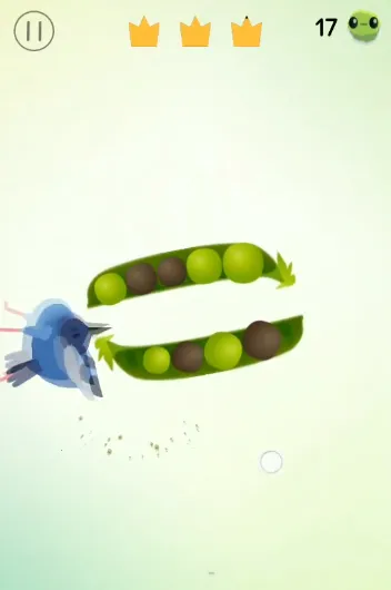 pigeon���ĸ���