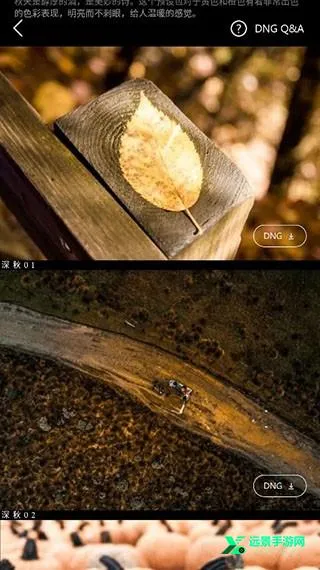 �˾���LR��ɫ��ʦ