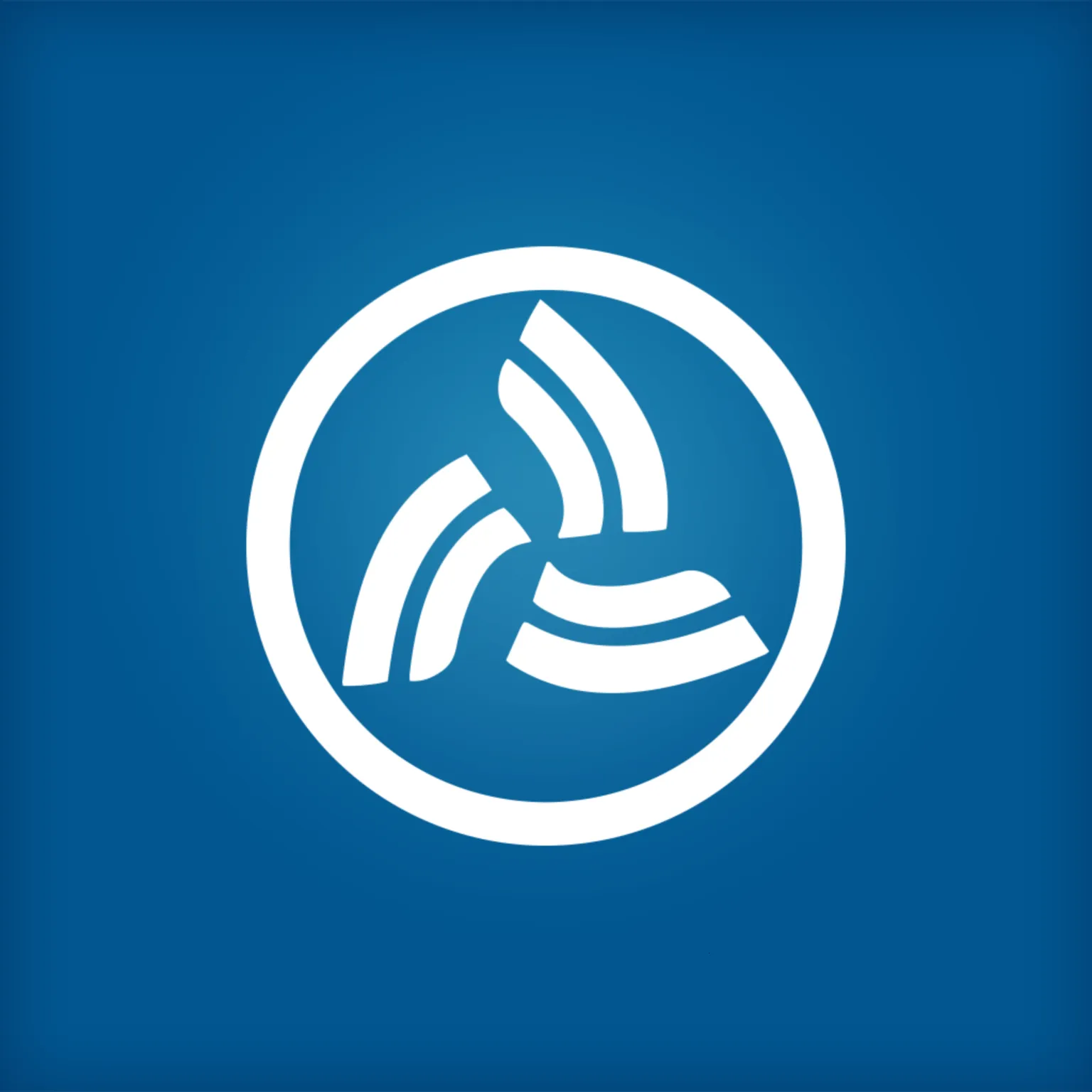 ������ĳ�